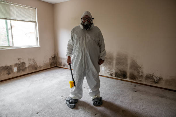 Mold Removal for HVAC Installations in Milton, FL